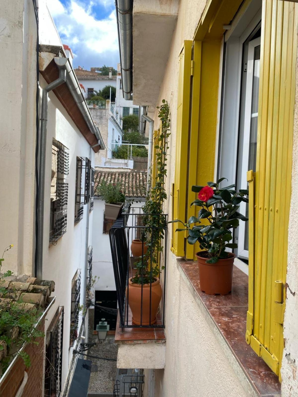 Apartamento Home Stagging New Life Granada Exteriér fotografie